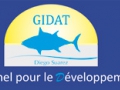 The GIDAT, an active group